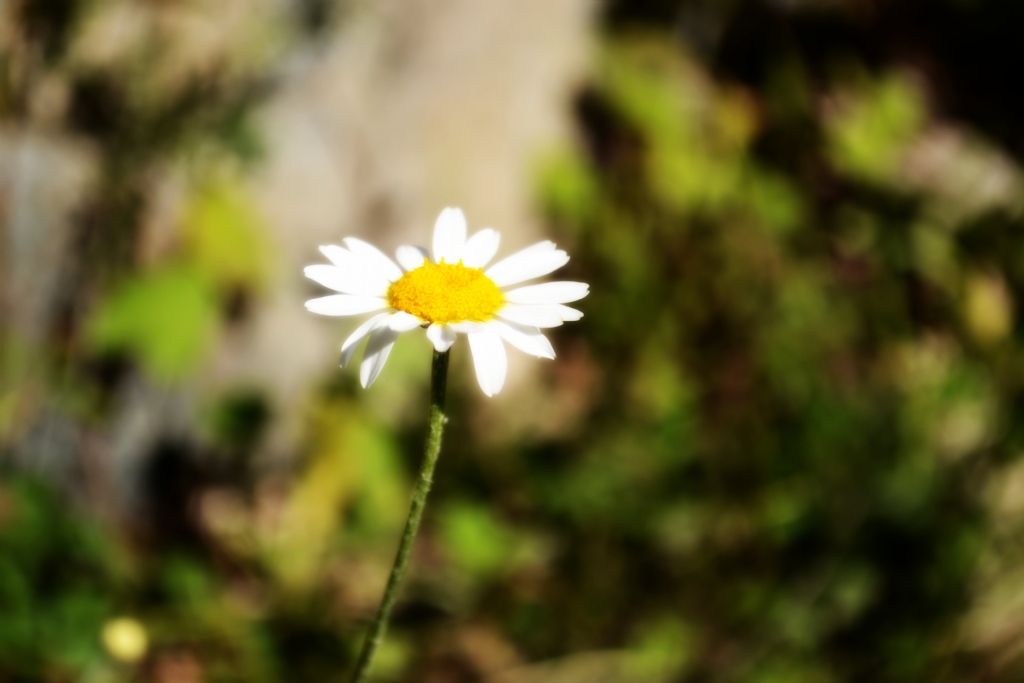 Ne talar yapardk ...