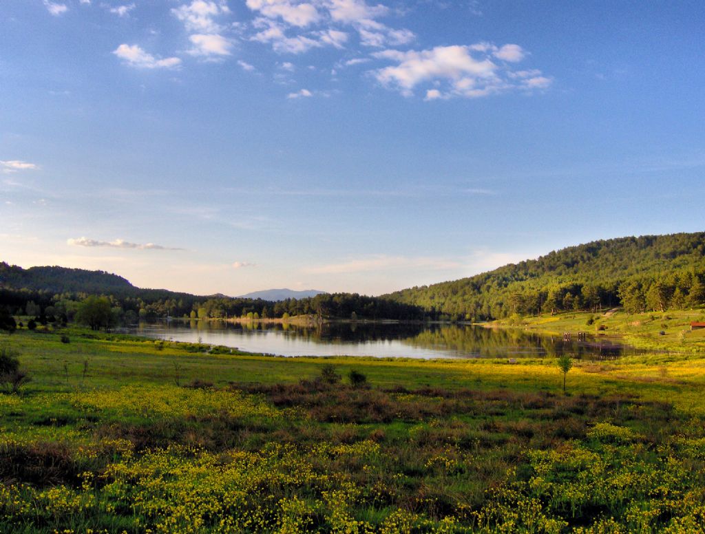 S�MAV G�LC�K YAYLASI