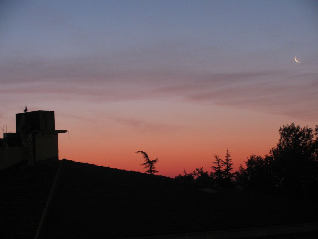 hastaneden gun doumu...