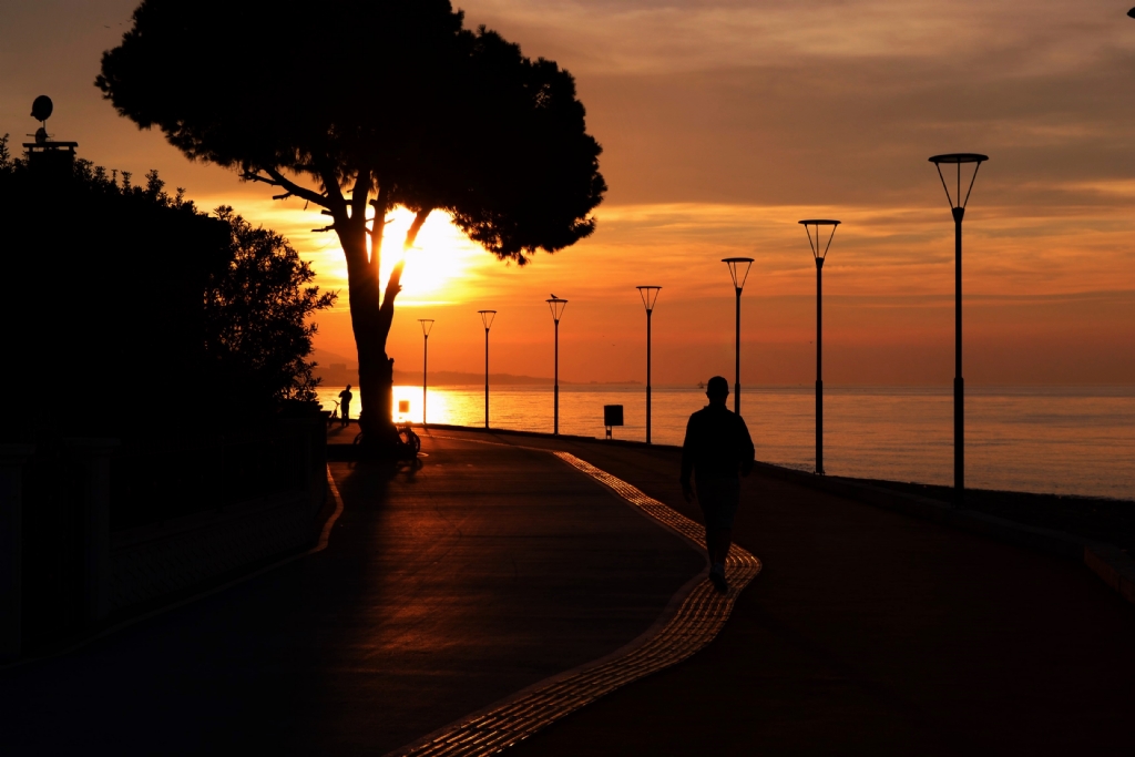 nsan izgisinin dna kmamal