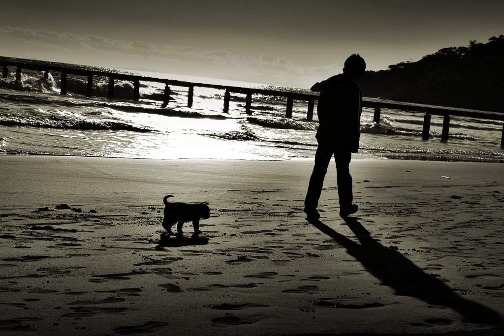 sevgiyle izlenmek...