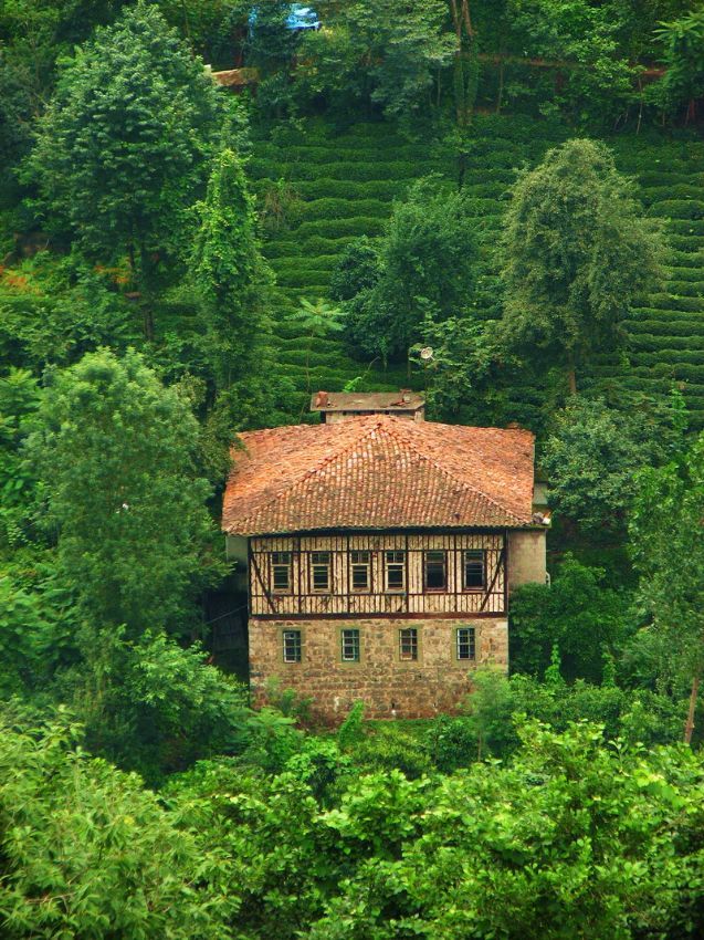 Rize Evi