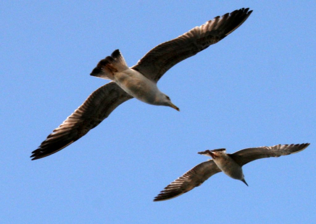 hadi gidelim buralardan