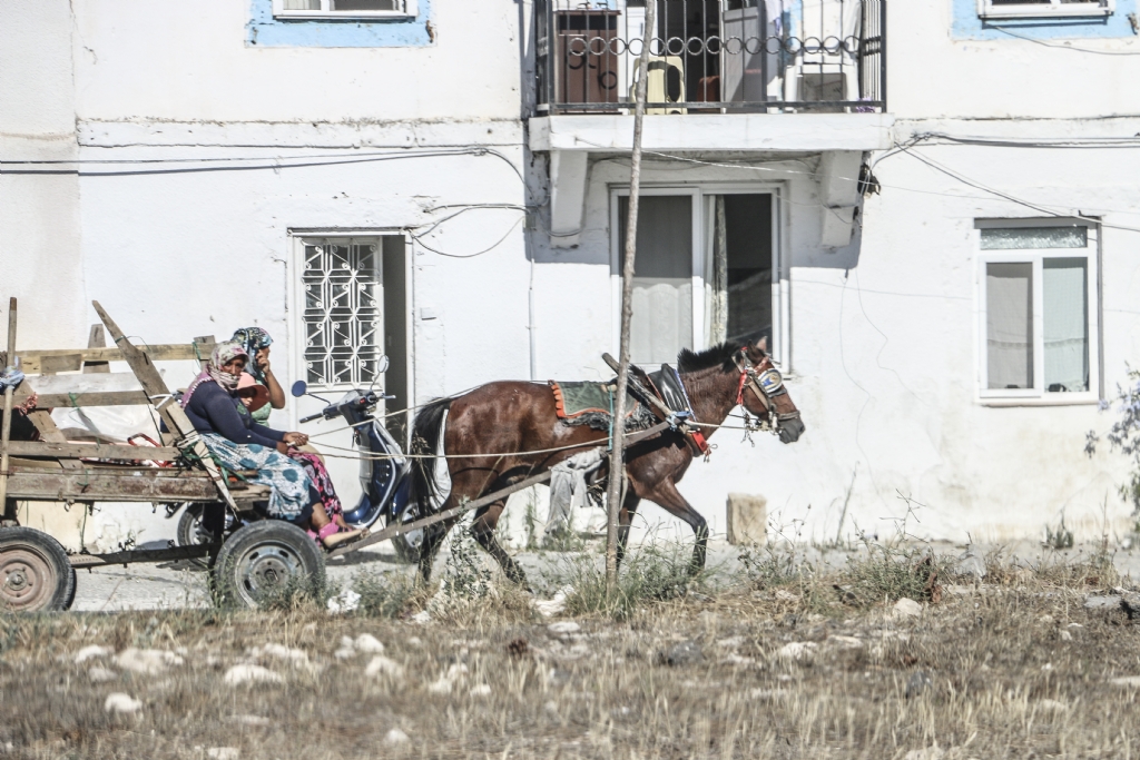 Ege nsan | eme - Alaat Yerlisi