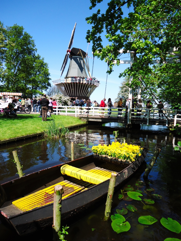 Keukenhof - Hollanda