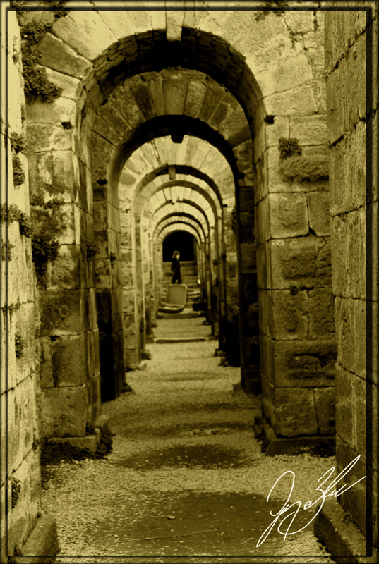 Gitmek mi zor kalmak m? 