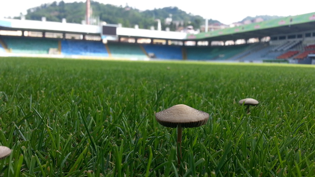 RZE STADYUMU MANTARI