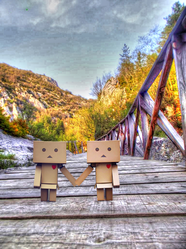 Danbo - Ak