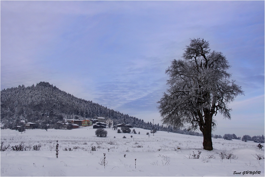 Ağlı-Kastamonu
