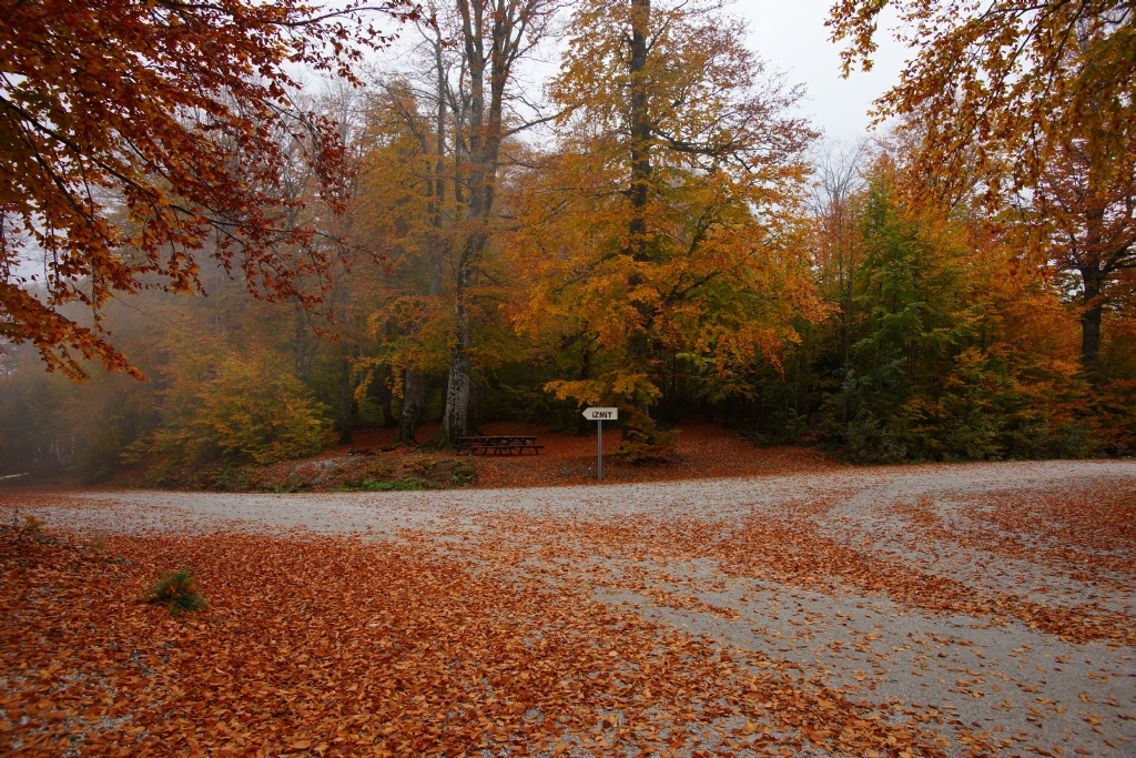 kartepe de sonbahar 3