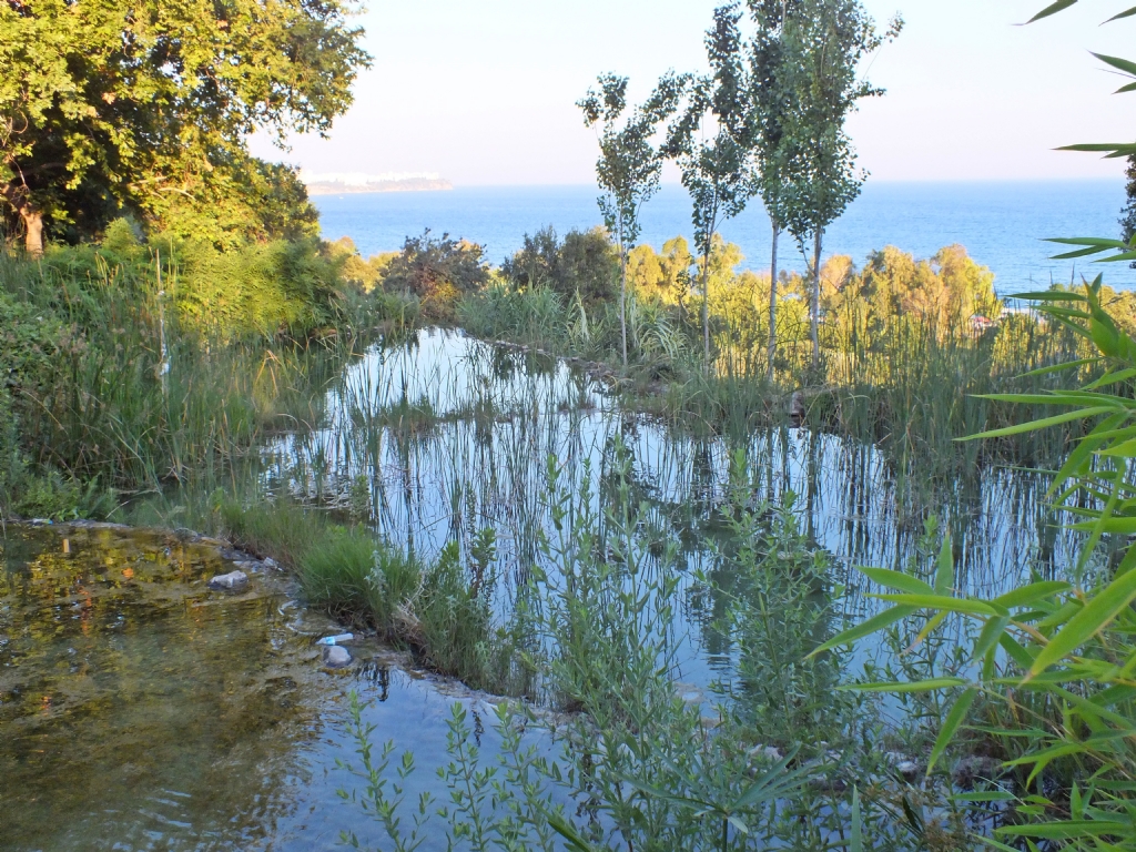 do�ay� katlediyoruz