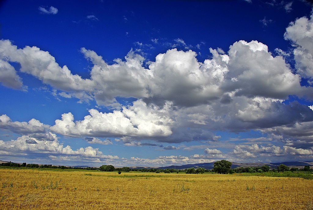 Krsaln bulutlar