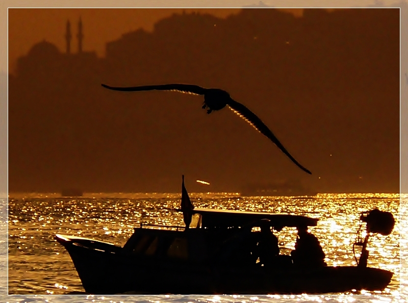 Alt�n Toplayanlar (2)