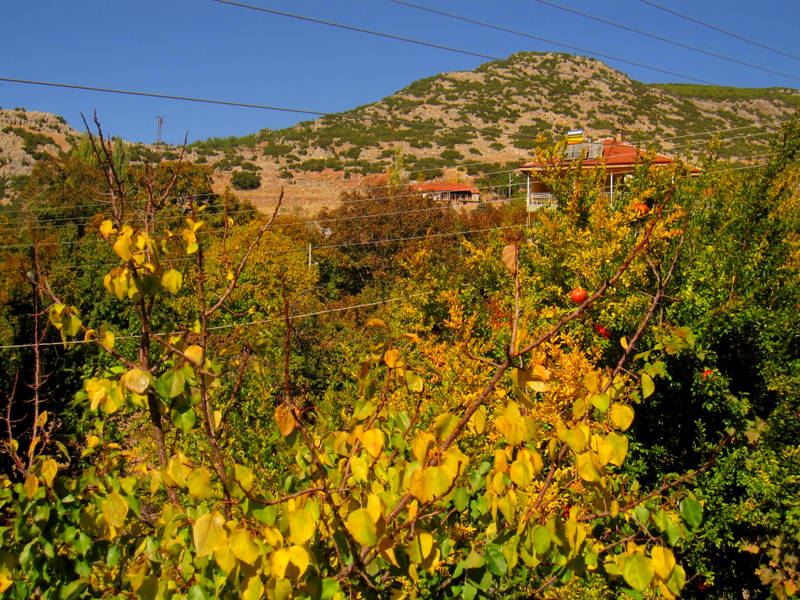 Sonbahar ve Ard�� doru