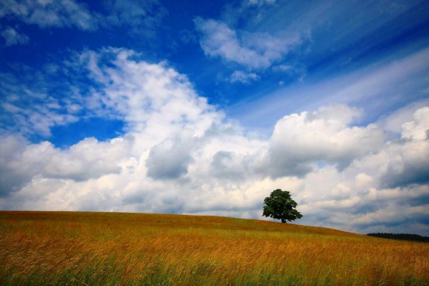 baska kimse yok.......