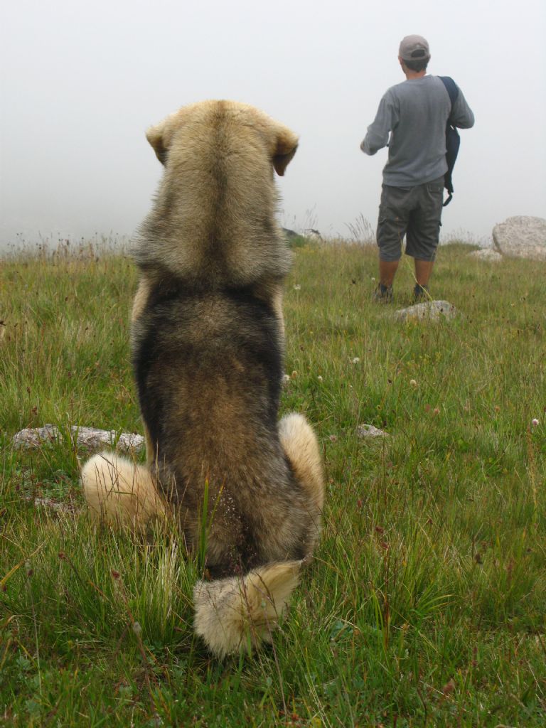 G�venmek g�zeldir.