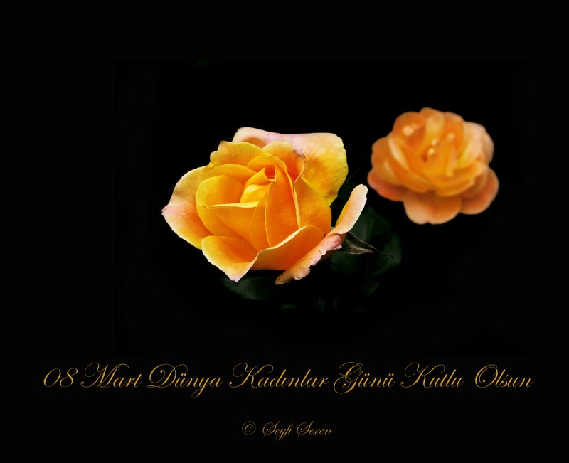 8 Mart Kad�nlar G�n� Kutlu Olsun . . .