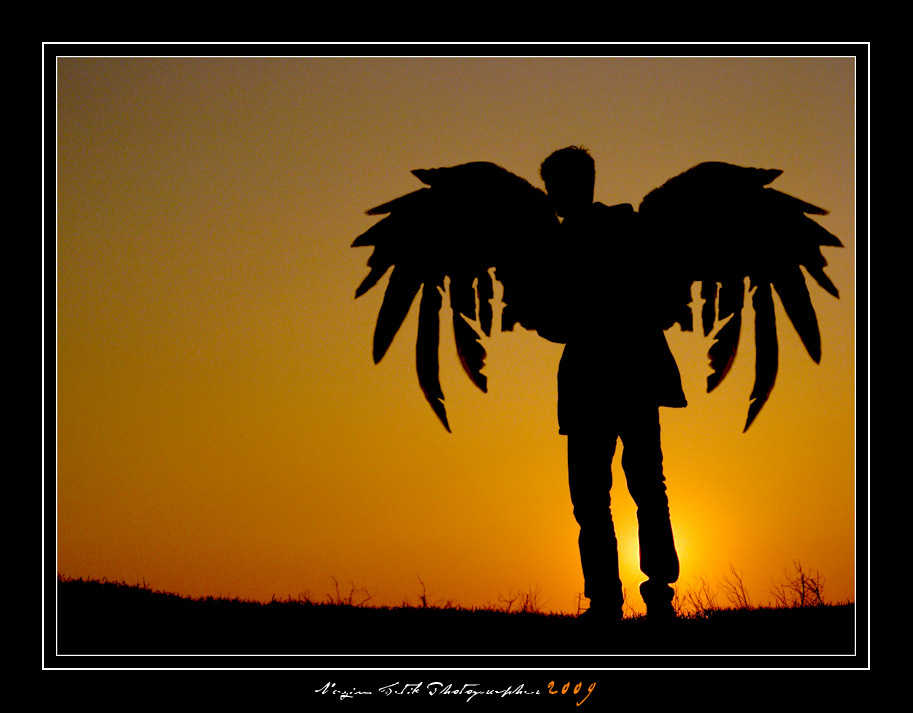 ... ::: Kanatlarmn Altnda ::: ... 