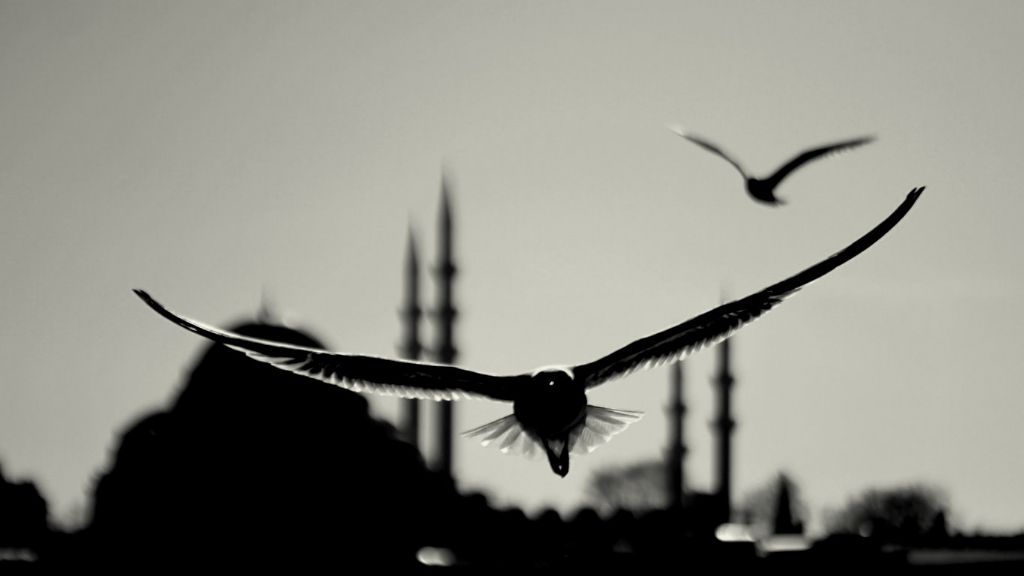 istanbul kanatlarımın altında