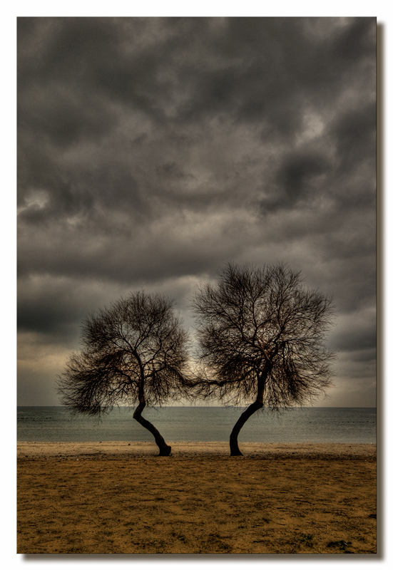 A�a�lar�n Dans�