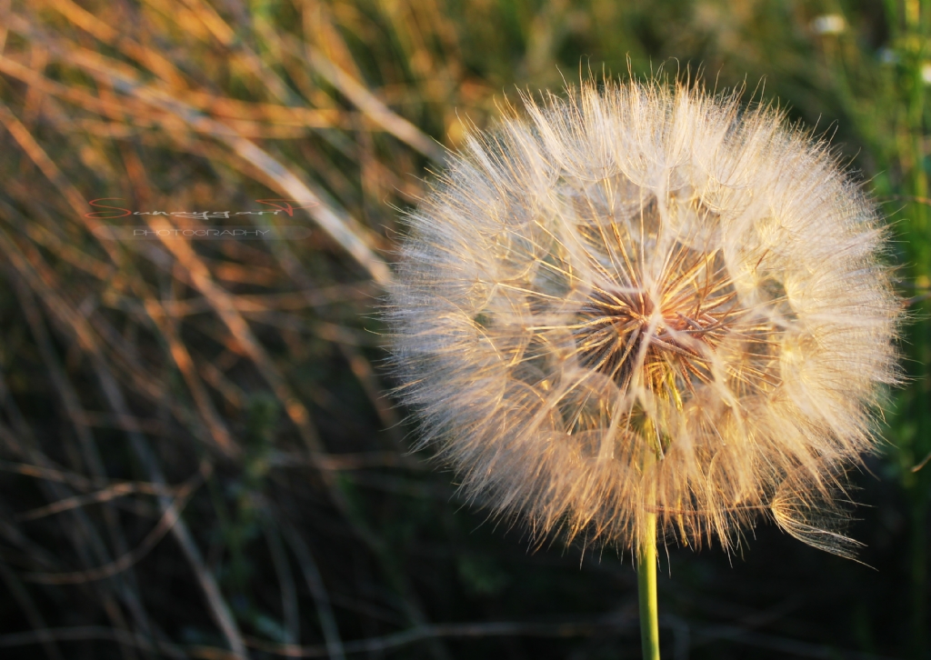 ...�eytan T�y�...