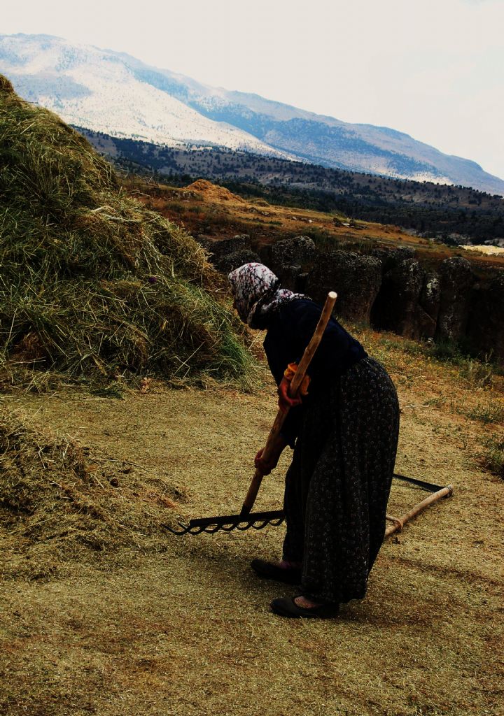 yurdum insan alrda alr..