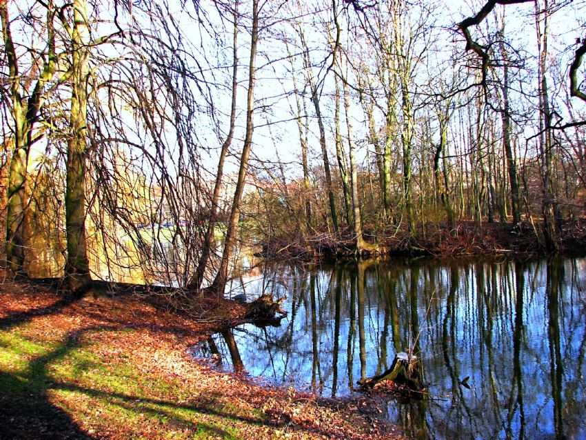 kis daha buraya ugramadi