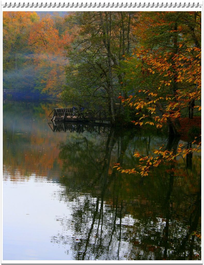 Dn gitmi Yarn yok.....