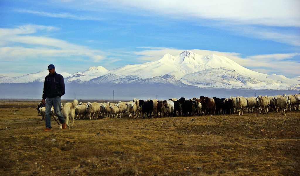 Sr ve Erciyes