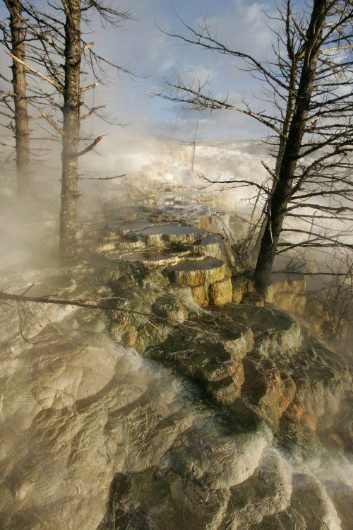 yellowstone milli parknda traventenler