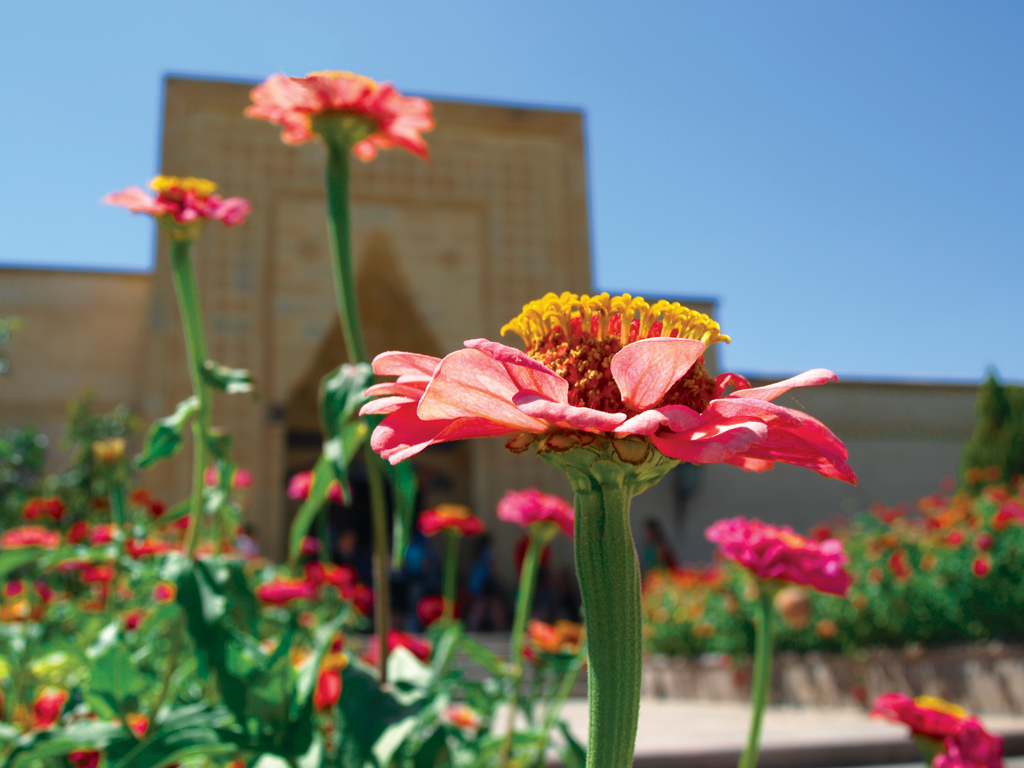 Kalanlarn ardndan...