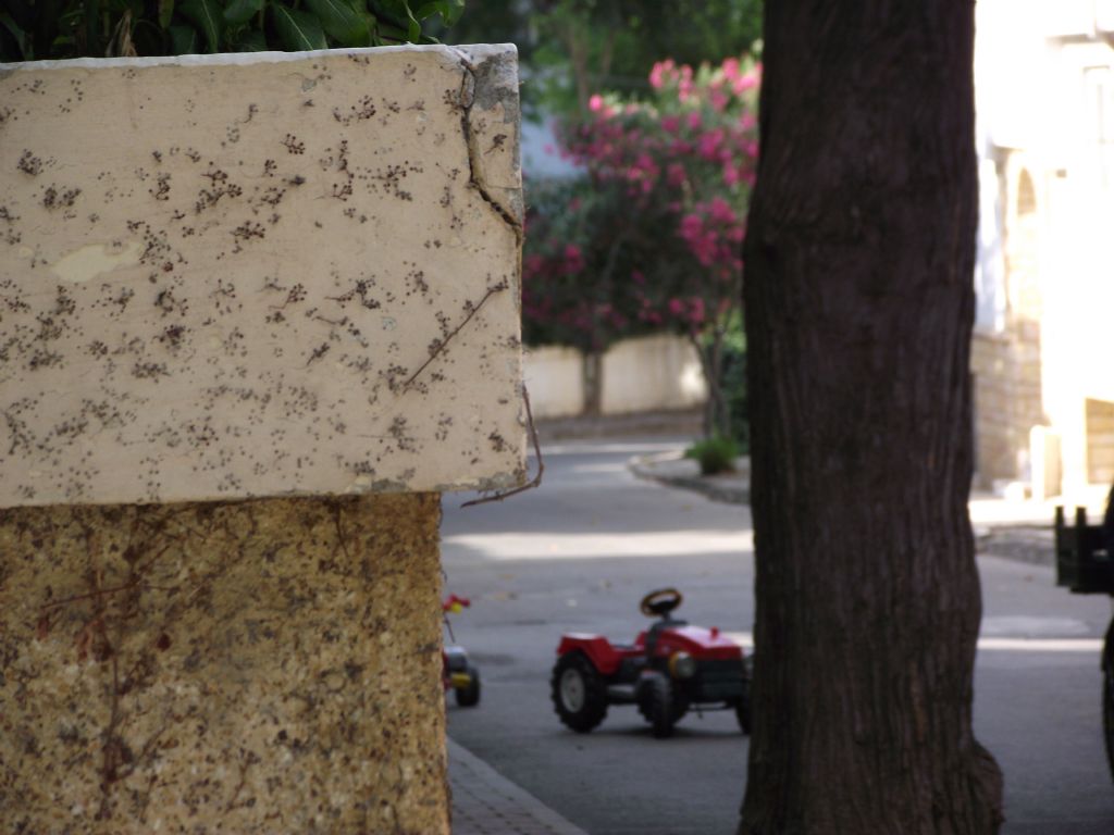 �ocuklu�uma do�ru..