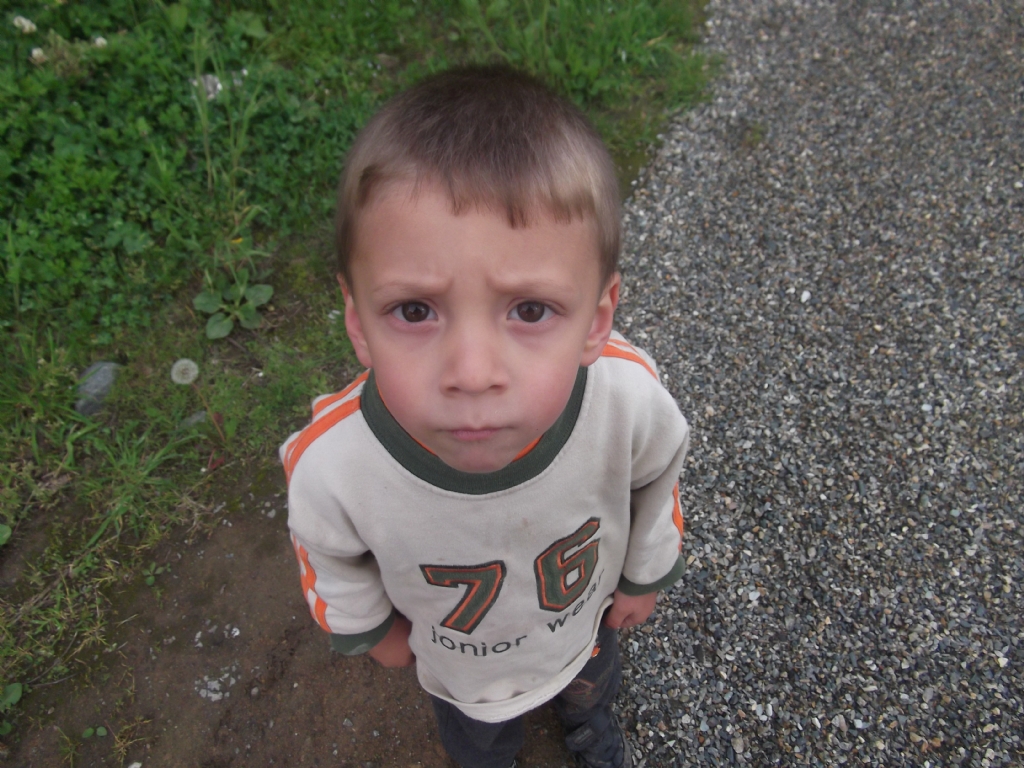 Sessizce Anlamaya almak