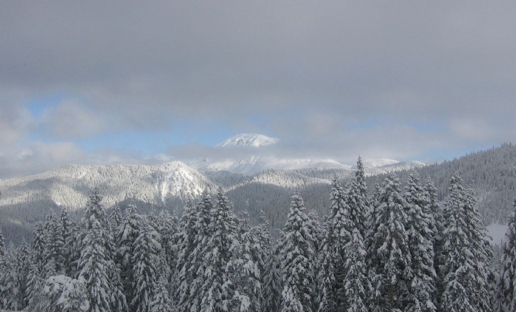 ILGAZ 2012 1