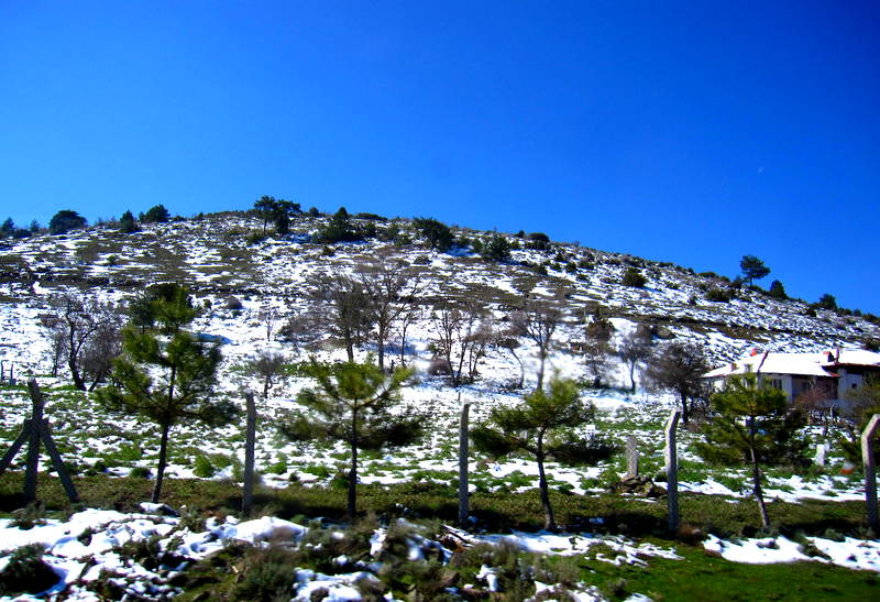 Kn Hayriye ky, Denizli