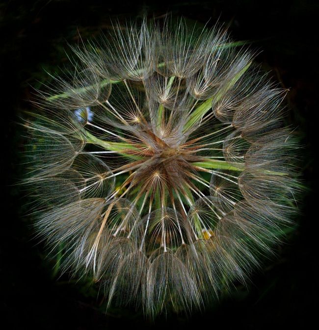 Shining Of Fractal Parachutes