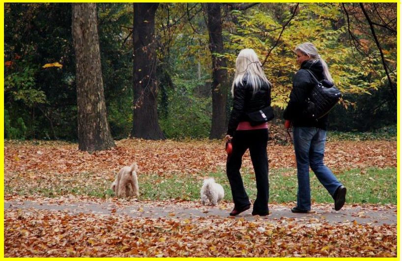 Budapete-Macaristan Parkta yry