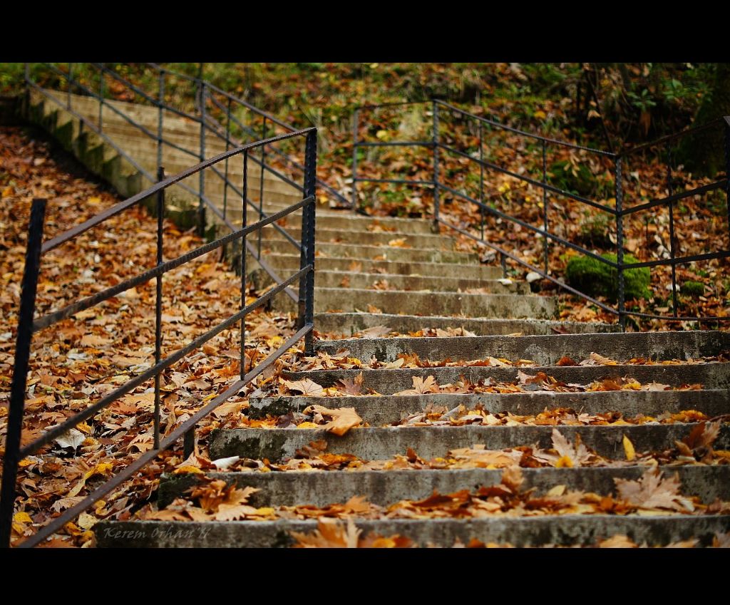 sonbahar yansmalar :) 2