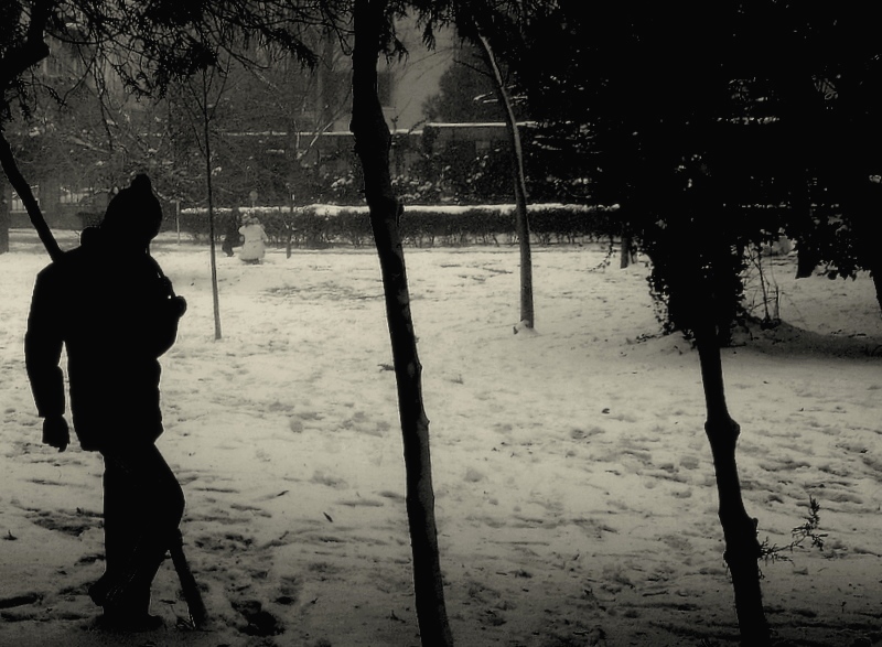 KAGEMUSHA N SB' KAR D' '