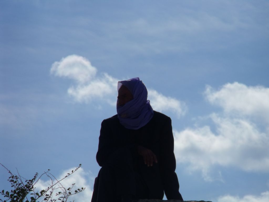 �anl�urfal� amca