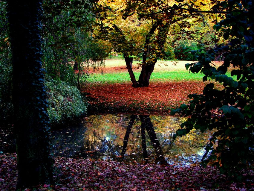 sonbahardan kalan esinti