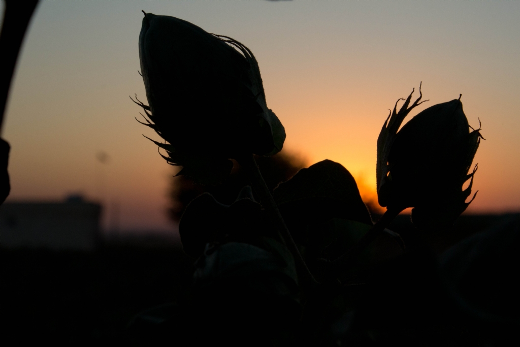 I��kla ��zmek