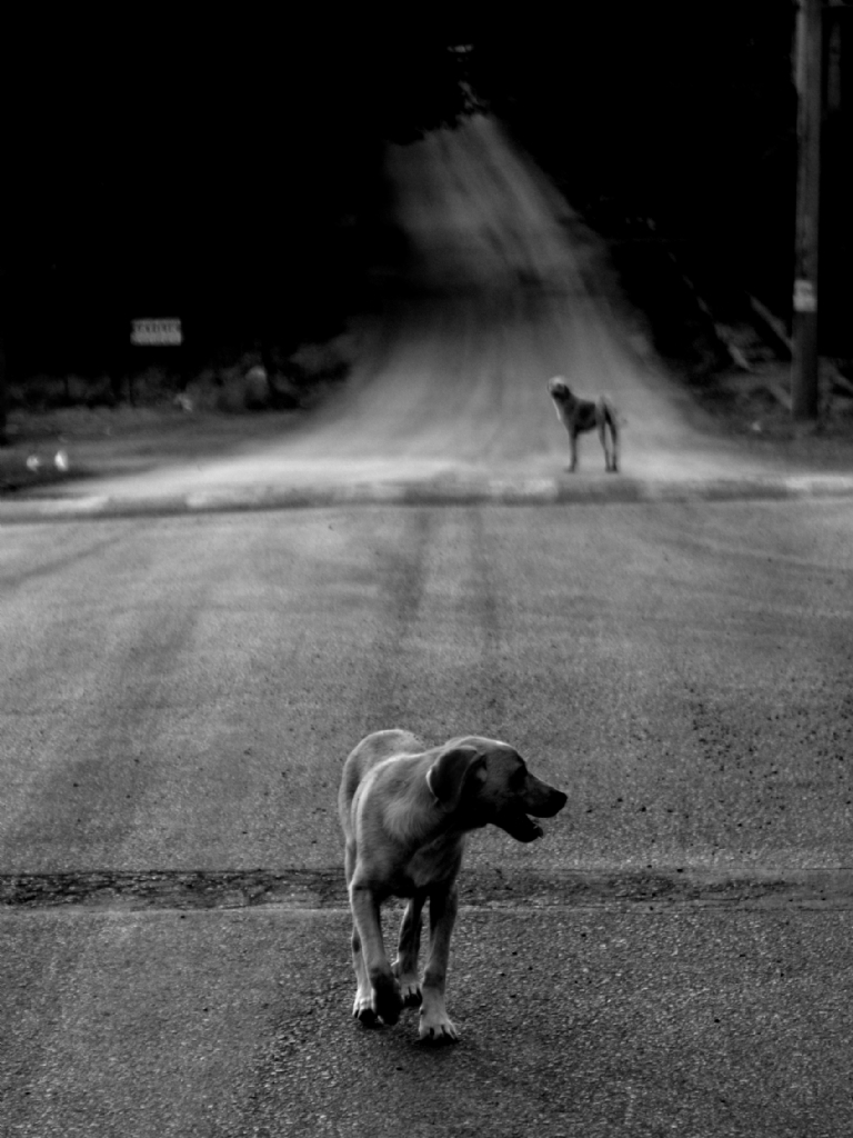 G�d�s�m k�ymetl�d�r ben�m!