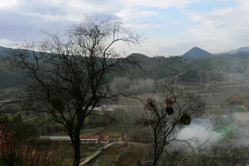 Tarakl 'dan bir kare..