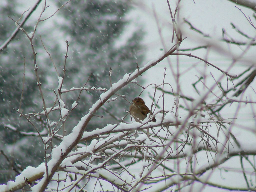 gidecek yerim mi var