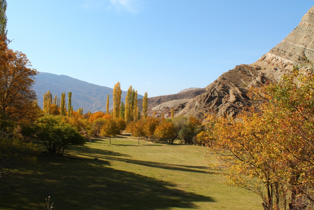 sonbaharda gelirmi�