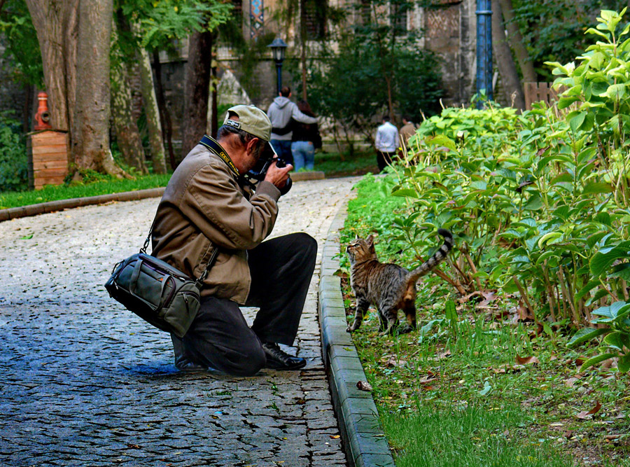 ANLA�MALI �EK�M..