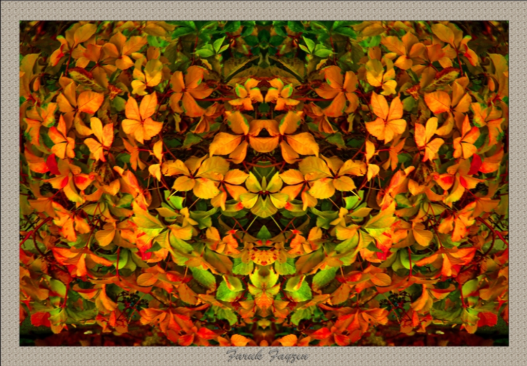 SONBAHAR YAPRAKLARI..