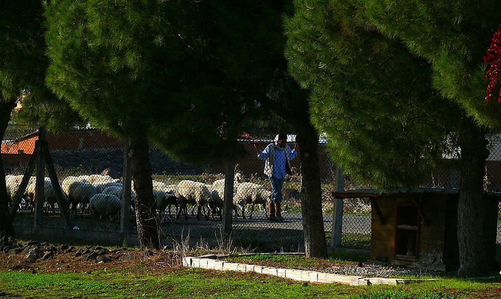 Kurban Yaklayor!