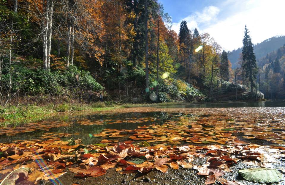 Karag�l'de ba�kad�r sonbahar